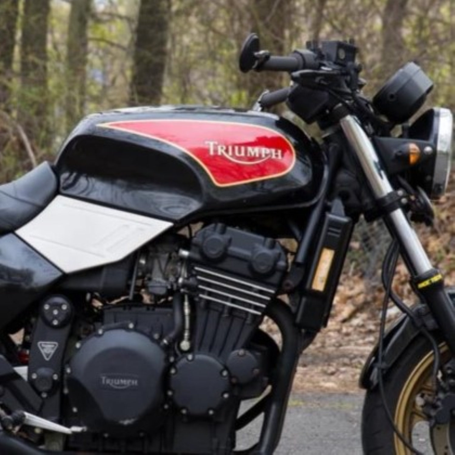 Triumph Ruby Red (code CJ) Paint Product